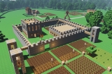 Colony Survival